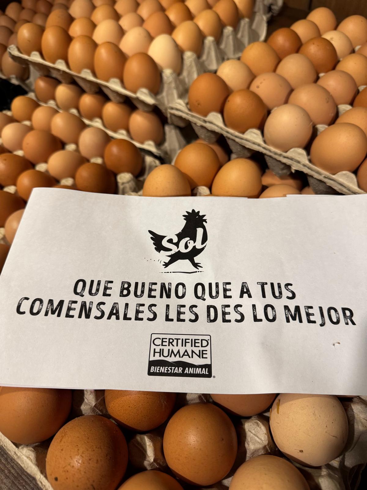 Huevos de gallina 100% naturales