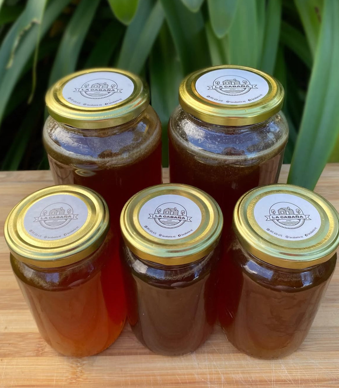Miel de abeja 100% pura