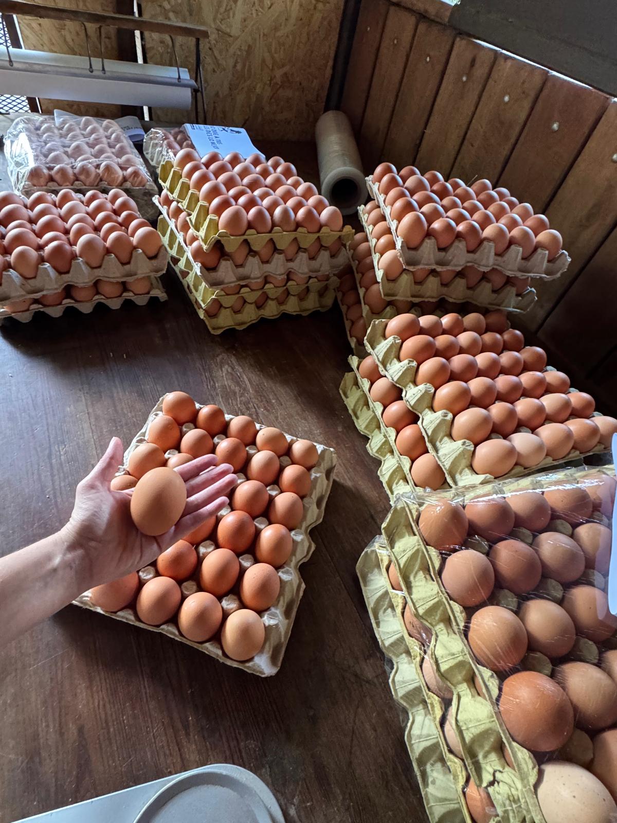 Huevos de gallina 100% naturales