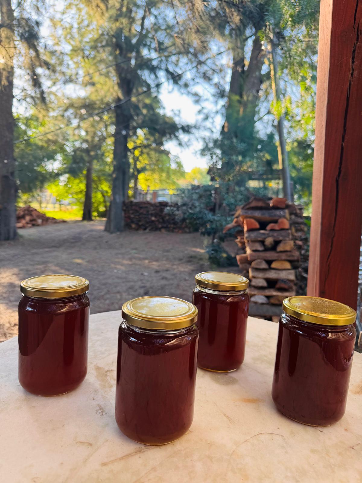 Miel de abeja 100% pura