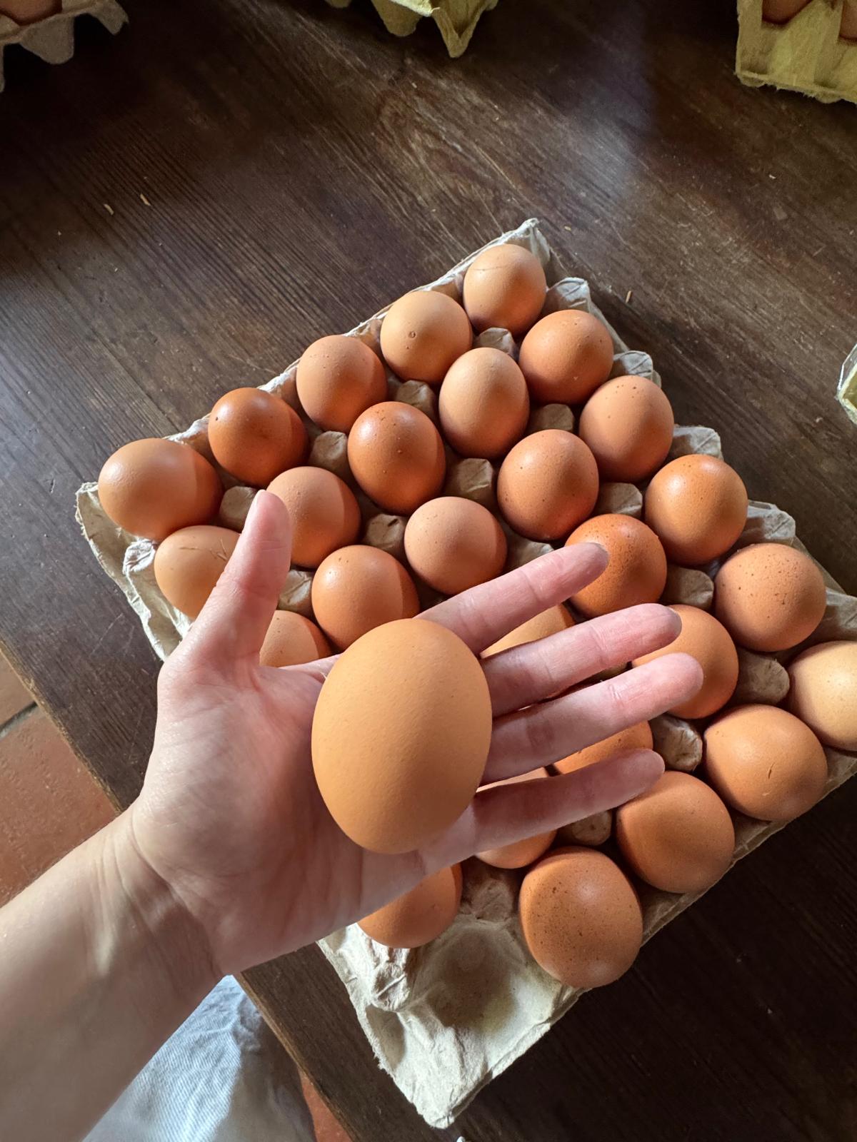 Huevos de gallina 100% naturales